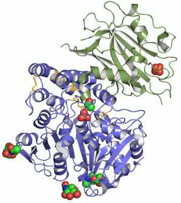 Image Asym./Biol. Unit - manually