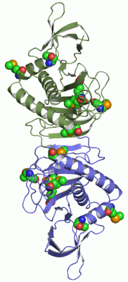 Image Asym./Biol. Unit - manually