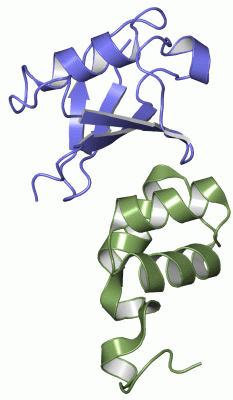 Image NMR Structure - manually