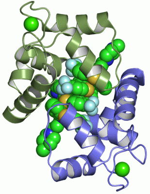 Image Asym./Biol. Unit - manually