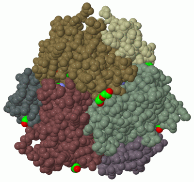 Image Biol.Unit 1 - manually