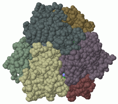 Image Biol.Unit 1 - manually
