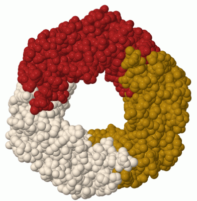 Image Biol.Unit 1 - manually