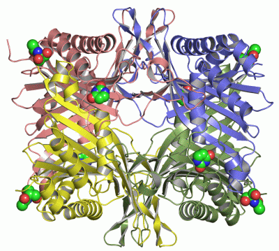 Image Asym./Biol. Unit - manually