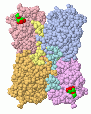 Image Asym./Biol. Unit - manually