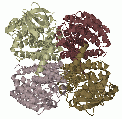 Image Biol.Unit 1 - manually