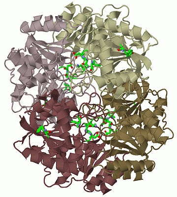 Image Biol.Unit 1 - manually