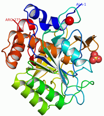 Image Asym./Biol. Unit - manually