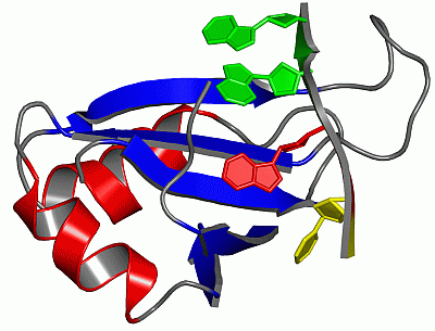 Image NMR Structure - manually