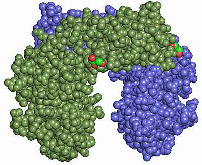 Image Asym./Biol. Unit - manually