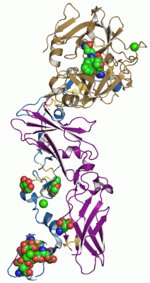 Image Asym./Biol. Unit - manually