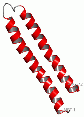 Image NMR Structure - manually