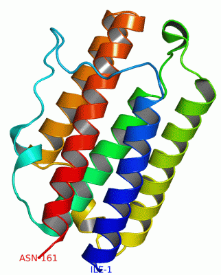 Image Asym./Biol. Unit - manually