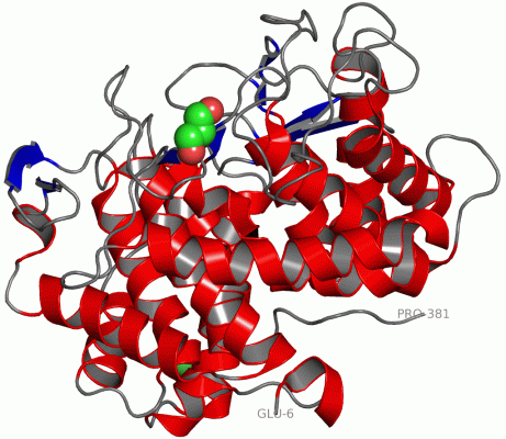 Image Asym./Biol. Unit - manually