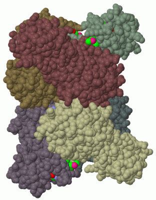 Image Biol.Unit 1 - manually