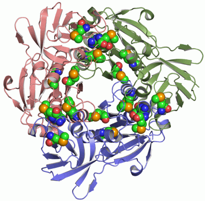 Image Asym.Unit - manually