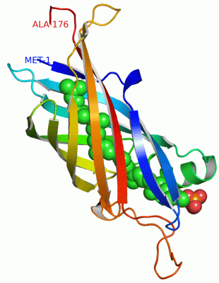 Image Asym./Biol. Unit - manually