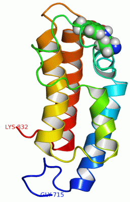 Image NMR Structure - manually