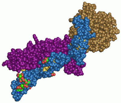 Image Asym./Biol. Unit - manually