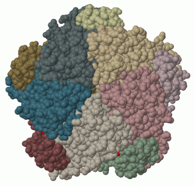 Image Biol.Unit 1 - manually