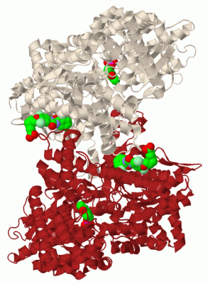 Image Biol.Unit 1 - manually