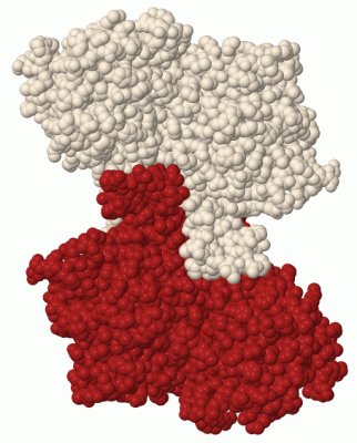 Image Biol.Unit 1 - manually