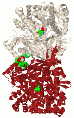 Image Biol.Unit 1 - manually