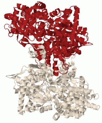 Image Biol.Unit 1 - manually