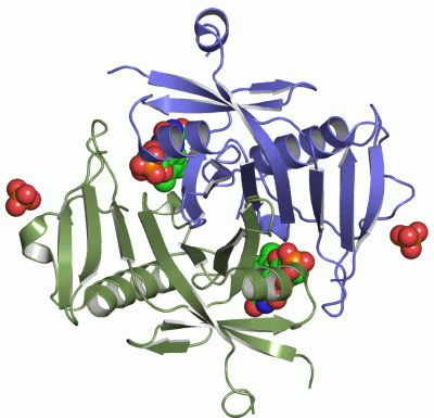 Image Asym./Biol. Unit - manually