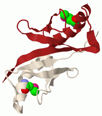 Image Biol.Unit 1 - manually