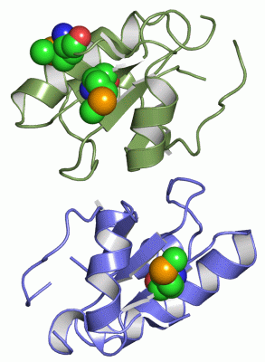Image Asym./Biol. Unit - manually