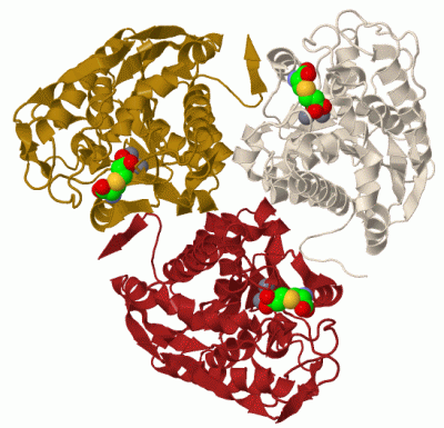 Image Biol.Unit 1 - manually