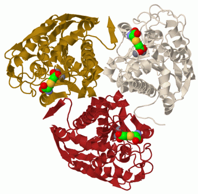 Image Biol.Unit 1 - manually