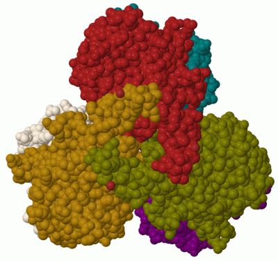 Image Biol.Unit 1 - manually