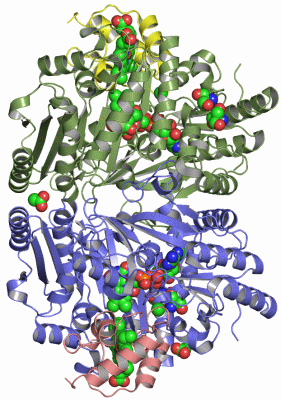 Image Asym./Biol. Unit - manually