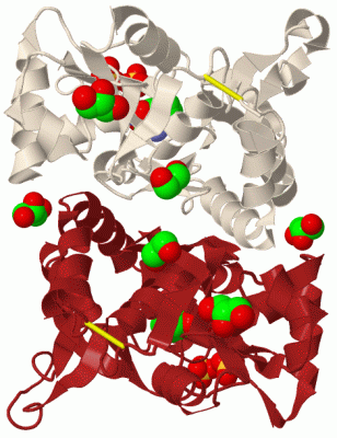 Image Biol.Unit 1 - manually