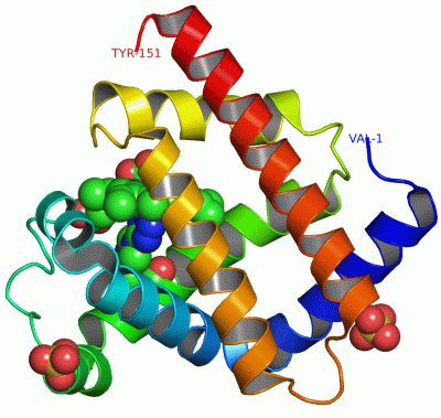 Image Asym./Biol. Unit - manually