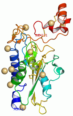 Image Asym.Unit - manually
