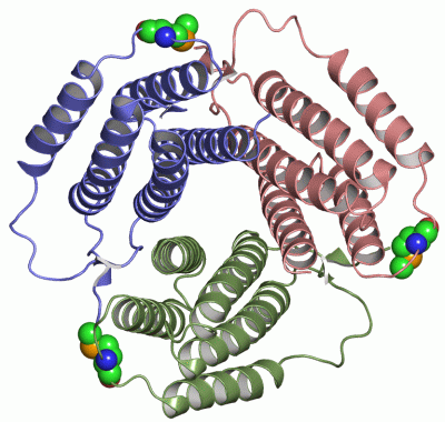 Image Asym./Biol. Unit - manually