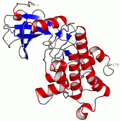 Image Asym./Biol. Unit - manually