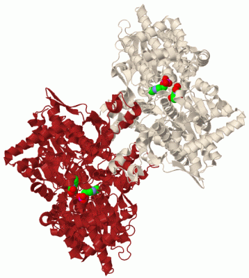 Image Biol.Unit 1 - manually