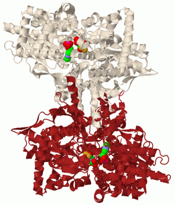 Image Biol.Unit 1 - manually