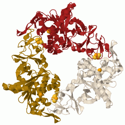 Image Biol.Unit 1 - manually