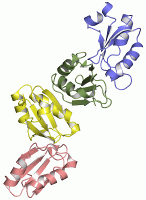 Image Asym./Biol. Unit - manually