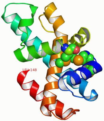 Image Asym.Unit - manually