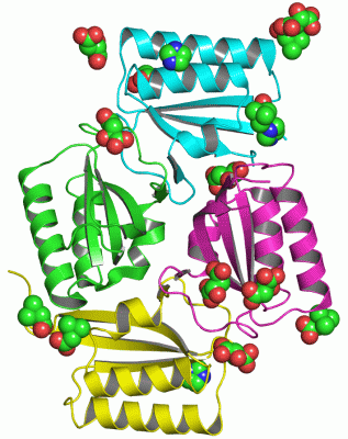 Image Asym./Biol. Unit - manually