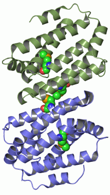 Image Asym./Biol. Unit - manually