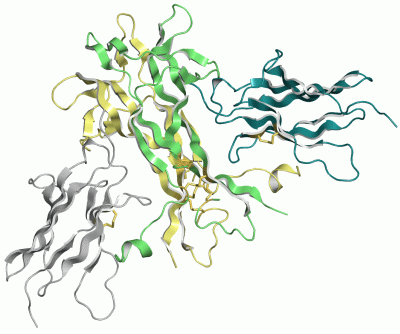 Image Asym./Biol. Unit - manually