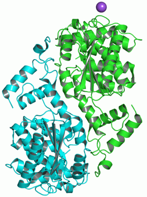 Image Asym./Biol. Unit - manually