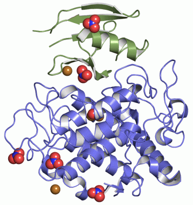 Image Asym./Biol. Unit - manually